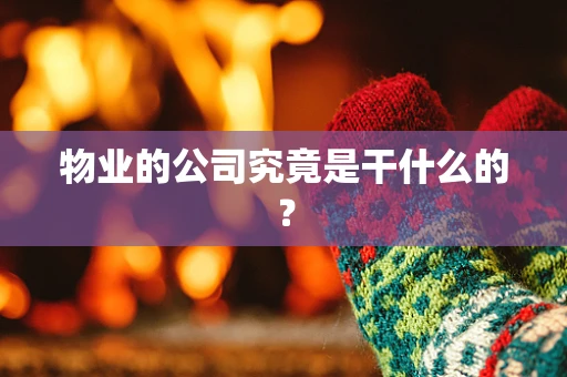 物业的公司究竟是干什么的？