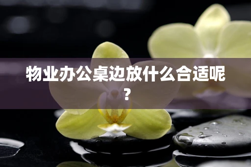 物业办公桌边放什么合适呢？